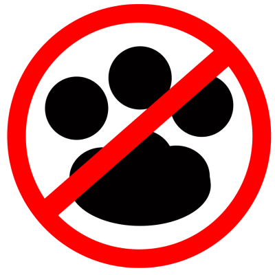 No Pets allowed
