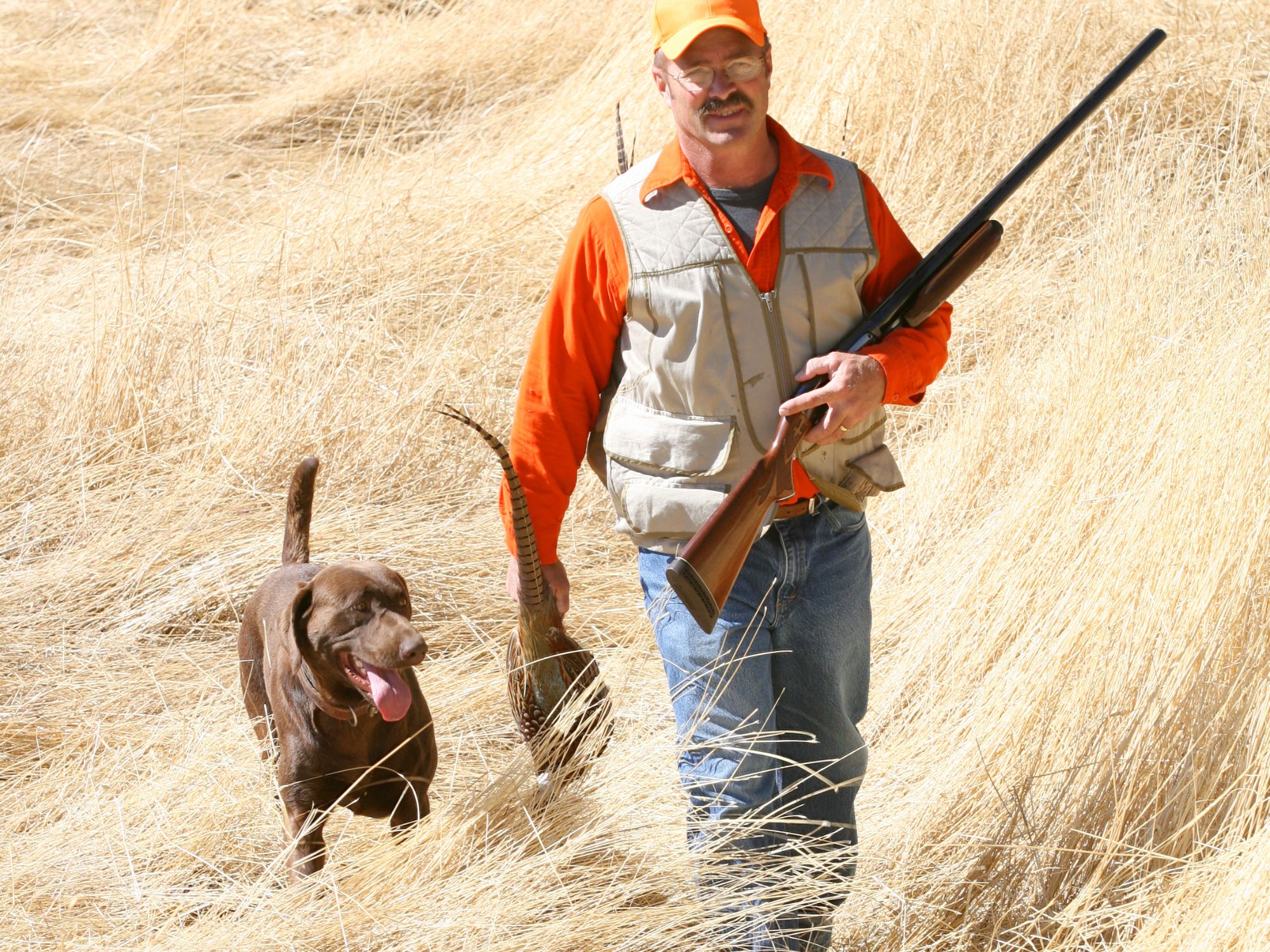 Pheasant hunting lake andes inn rv park